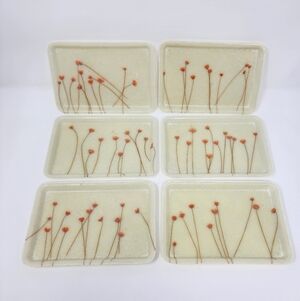 Vintage Poppy Fiber Glass Resin Trinket Trays Set Of 6